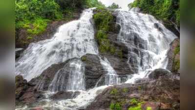 Valparai : முன்கூட்டியே நடந்தா நல்லா இருக்கும் - ஏங்கும் வால்பாறை மக்கள் !