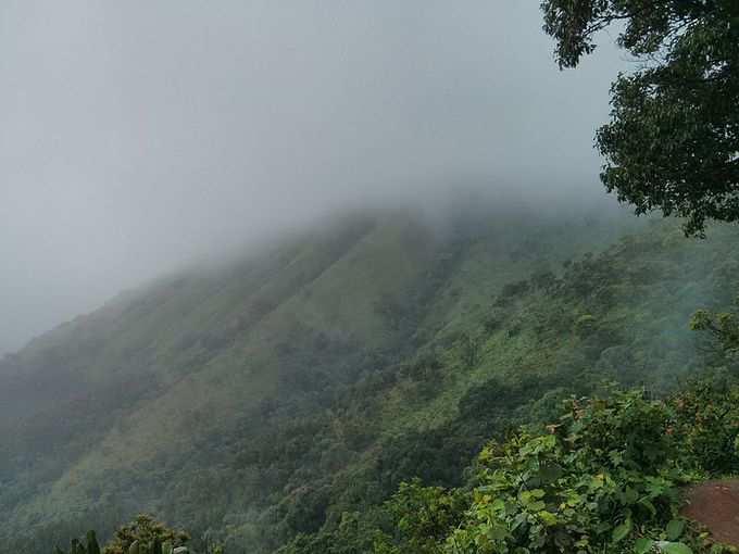 ಚಿಕ್ಕಮಗಳೂರಿನ ಶಿಖರಗಳತ್ತ