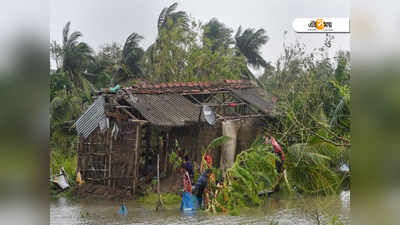 বুলবুল ক্ষতে বঞ্চনার ঘা কেন্দ্রের