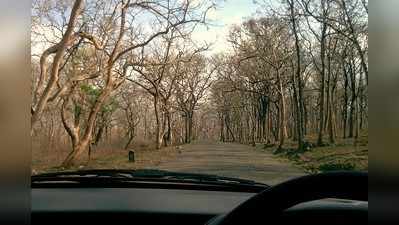 Sathyamangalam Tiger Reserve: வீரப்பன் வாழ்ந்த காடு இப்ப எப்டி இருக்கு தெரியுமா? வாங்க போகலாம்!