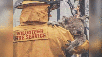 कनक पांडे ने शेयर की भावुक कर देने वाली ऑस्ट्रेलिया के जानवरों की तस्वीर