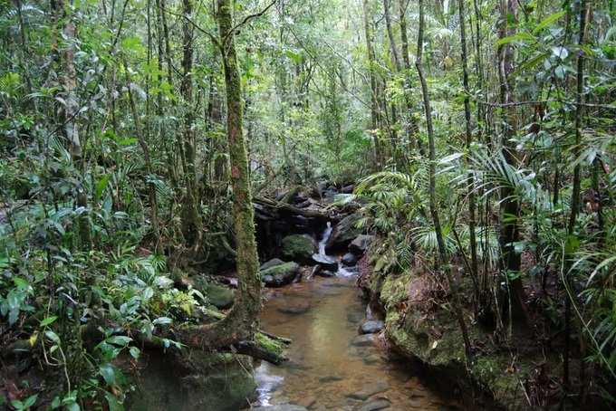 അന്‍ഷി