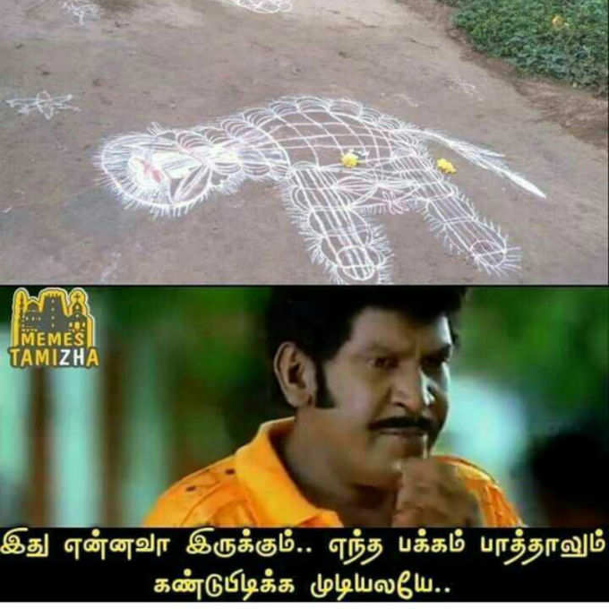 இது மாடா?