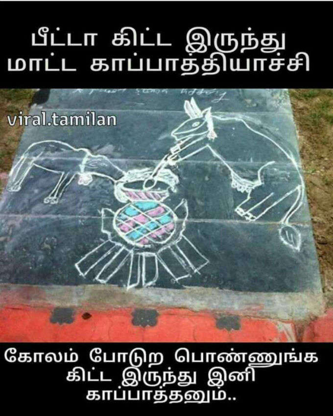 மாடு பறக்குது?