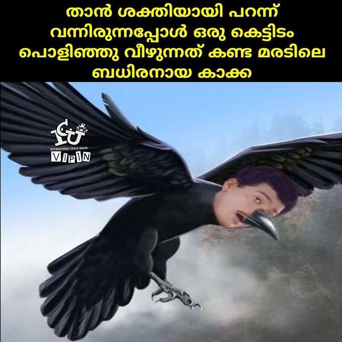 ഫ്ലാറ്റ് കാണുന്ന ലെ കാക്ക!