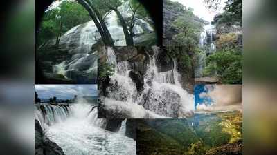 Waterfalls in Tamil Nadu: கோடை காலத்துல குடும்பத்தோட டூர் போவீங்களா? இந்த அருவிகளுக்கு கட்டாயம் போகணுமே!