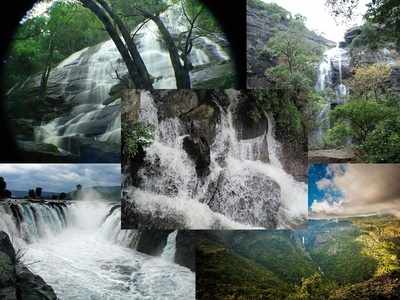 Waterfalls in Tamil Nadu: கோடை காலத்துல குடும்பத்தோட டூர் போவீங்களா? இந்த அருவிகளுக்கு கட்டாயம் போகணுமே!