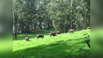 munnar places to visit : கோடைக்கு குதூகலமா குடும்பத்தோட போக இதவிட எது பெஸ்ட்னு சொல்ல!