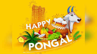 Happy Pongal: பொங்கலோ பொங்கல்...! - இனிய பொங்கல் வாழ்த்துக்கள் ; வாட்ஸ் அப் ஸ்டேட்டஸ்கள்