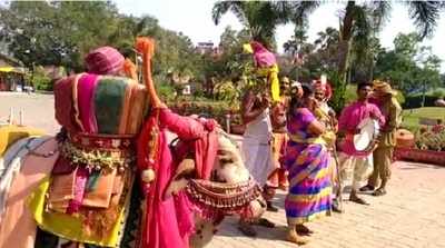 హరిదాసుల కీర్తనలు, గంగిరెద్దుల విన్యాసాలు.. ఉట్టిపడిన సంక్రాంతి వైభవం