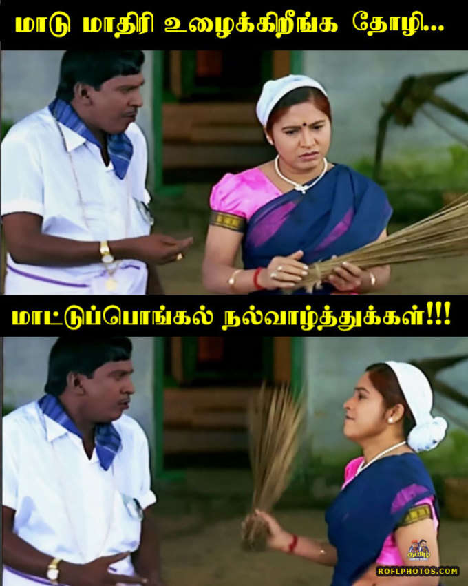 மாட்டு பொங்கல் வாழ்த்துக்கள் தோழி