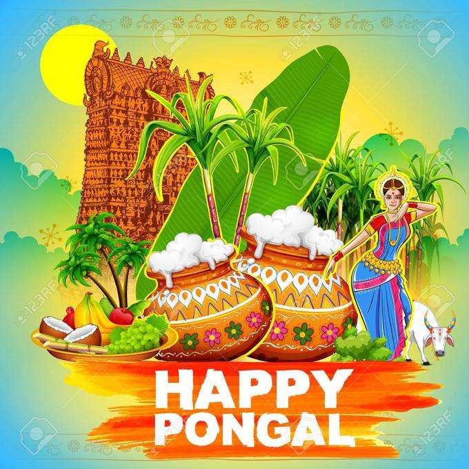 Pongal Wishes