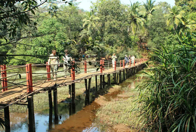 ​ಮಸಾಲೆ ತೋಟ ಪ್ರವಾಸ