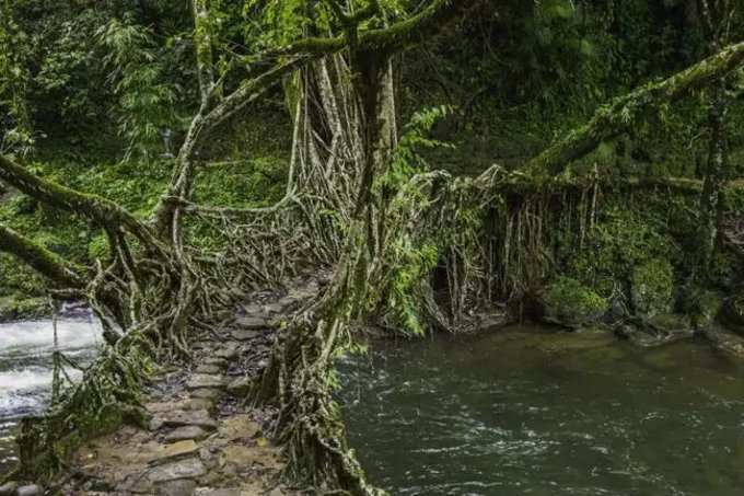 മൗലിങ്‌നോങ്, മേഘാലയ