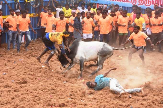 ಅಯ್ಯೋ ಬಿದ್ದೋದ್ನಲ್ಲಪ್ಪ !