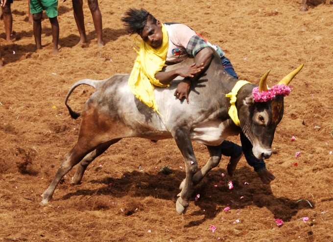 ಅಯ್ಯೋ ನನ್ನೇ ಹೊತ್ಕೊಂಡ್‌ ಹೋಯ್ತಿದೆ,,,