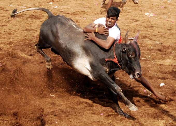 ಪರ - ವಿರೋಧ ಎರಡೂ ಇವೆ