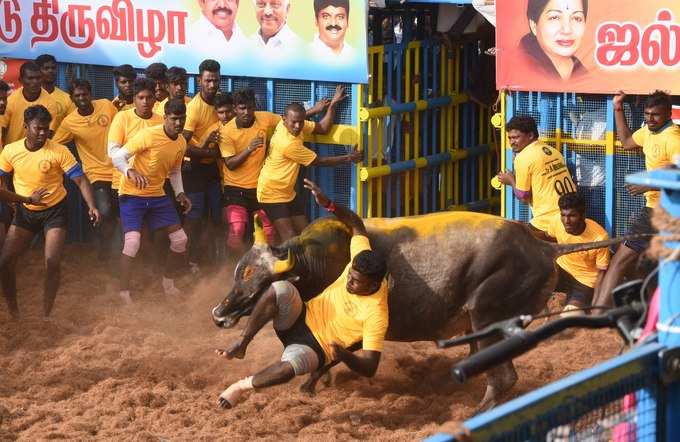 ಪ್ರಾಣಿ ದಯಾ ಸಂಘದಿಂದ ಆಕ್ಷೇಪ: