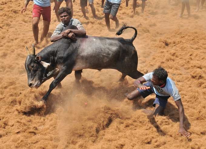 ಯಾವ ದಿನದಂದು ಈ ಕ್ರೀಡೆ?