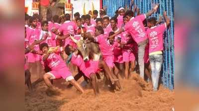 Jallikattu 2020: அவனியாபுரம் ஜல்லிக்கட்டு: சீறும் காளைகள்; பாயும் மாடுபிடி வீரர்கள்!