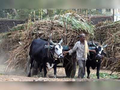 ನಿಯಮ ಉಲ್ಲಂಘಿಸಿ 426 ಎಕರೆ ಭೂಮಿ ಖರೀದಿ: ಸರಕಾರ,ಬೆಳಗಾವಿ ಸಕ್ಕರೆ ಕಾರ್ಖಾನೆಗೆ ಹೈಕೋರ್ಟ್‌ ನೋಟಿಸ್‌