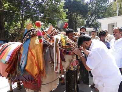 ನಾಡಿನಾದ್ಯಂತ ಸಂಕ್ರಾಂತಿ ಸಂಭ್ರಮ: ರಾಜಕಾರಣಿಗಳ ಮನೆಯಲ್ಲೂ ಹಬ್ಬದ ಖುಷಿ