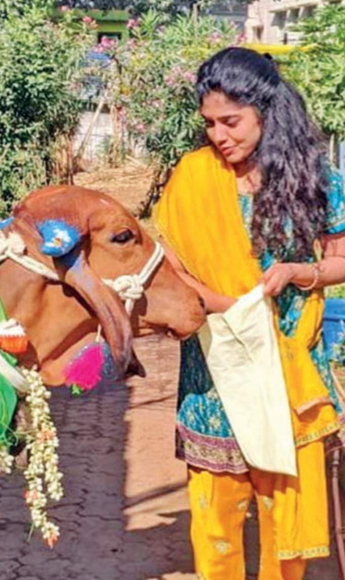 ಹೊರನಾಡು ಹಸುಗಳಿಗೆ ಪೂಜೆ ಮಾಡಿ ಹಬ್ಬ ಮಾಡಿದ ಸಂಯುಕ್ತಾ