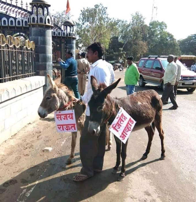 गाढवांच्या गळ्यात संजय राऊत आणि जितेंद्र आव्हाडांची पाटी