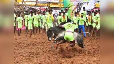 16 காளைகளை அடக்கிய பிரபாகரன்..! பாலமேடு ஜல்லிக்கட்டில் முதல் பரிசு...