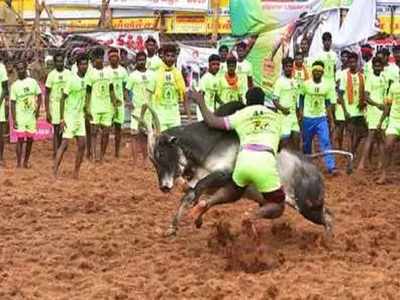 16 காளைகளை அடக்கிய பிரபாகரன்..! பாலமேடு ஜல்லிக்கட்டில் முதல் பரிசு...