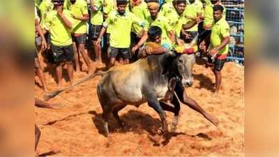 அமர்க்களமாய் தொடங்கிய அலங்காநல்லூர் ஜல்லிக்கட்டு!