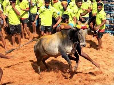 அமர்க்களமாய் தொடங்கிய அலங்காநல்லூர் ஜல்லிக்கட்டு!