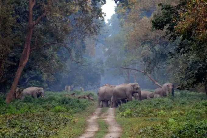 കോര്‍ബറ്റ്