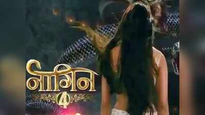 Naagin 4, 18 Jan Written Update: नागिन की बदले की हुंकार, डरी वृशाली