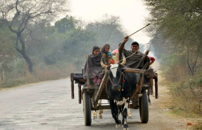 વ્યક્તિ અભણ પરંતુ નામ ‘કલેક્ટર’