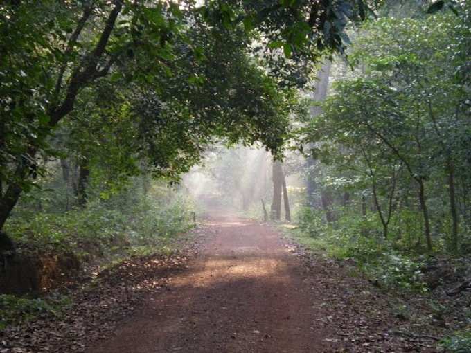 કોટિગાઓ વાઈલ્ડલાઈફ સેંચ્યુરી