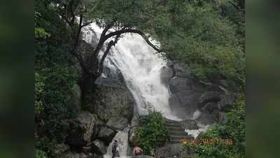 Water Falls in Nagercoil 2020: நாகர்கோவில் பக்கத்துலயே இப்படி ஒரு அட்டகாசமான அருவி தெரியுமா?
