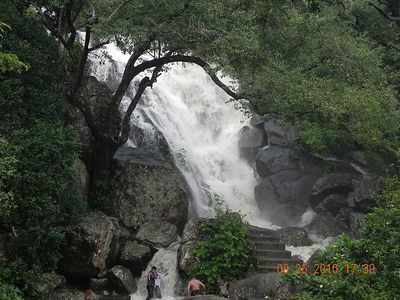 Water Falls in Nagercoil 2020: நாகர்கோவில் பக்கத்துலயே இப்படி ஒரு அட்டகாசமான அருவி தெரியுமா?