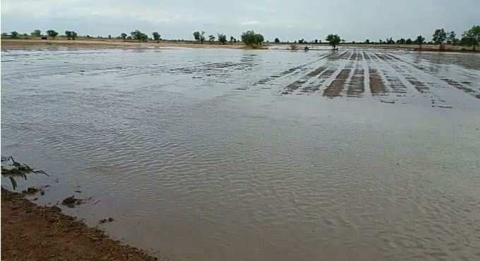 અમરેલીમાં પણ વરસાદથી ખેડૂતો ખુશખુશાલ