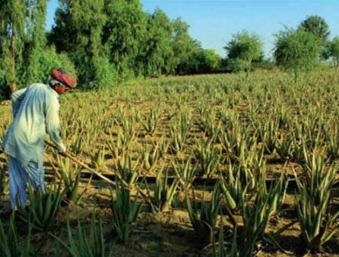 આ રીતે શરૂ થયું સફળતા તરફ પ્રયાણ