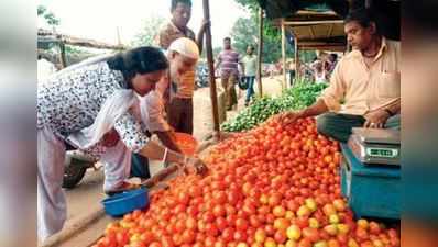 ટામેટાએ તો ભારે કરી, સોશિયલ મીડિયા પર છવાઈ ગયા!