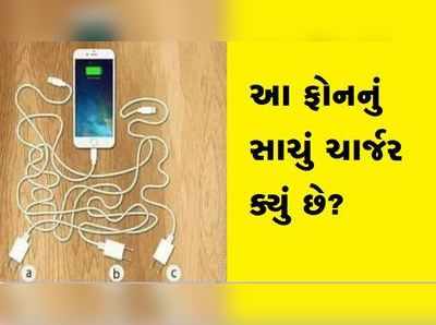 શું તમે જણાવી શકશો કે કયું ચાર્જર ફોન સાથે જોડાયેલું છે?