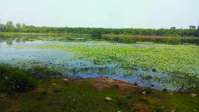 ಉದ್ಧಾರವಾಗದ ಜೀವಜಲದ ಭವಿಷ್ಯ