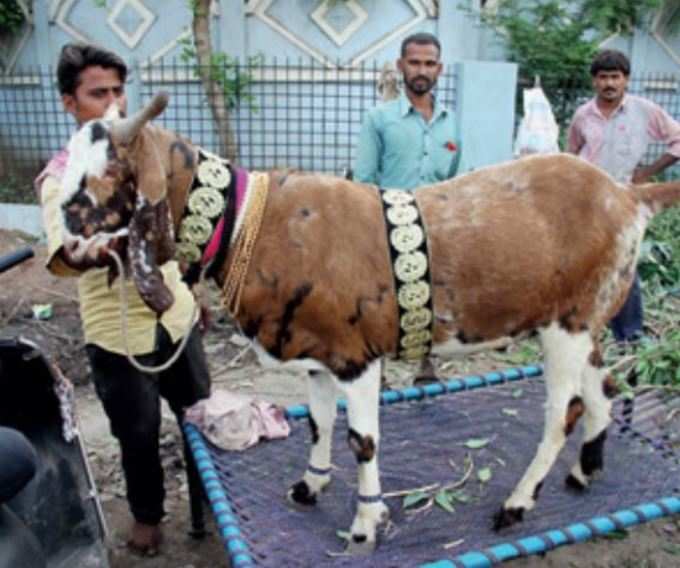 ખાસ ધ્યાન રાખવા અપાઈ સલાહ