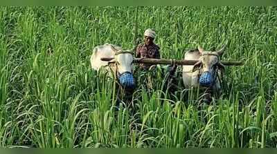 આ ખેડૂતોને સરકાર પાસેથી લોનમાફી નહીં પરંતુ આ જોઈએ છે.