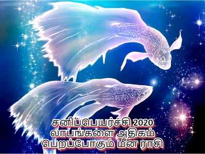 சனிப்பெயர்ச்சி பலன்கள் 2020: லாபத்தை குவிக்க உள்ள மீன ராசி