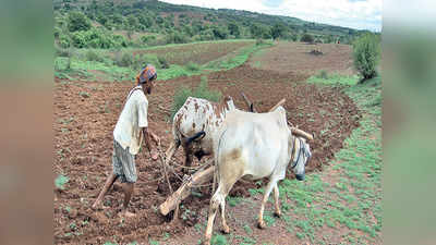 शेतात शेतकऱ्याचा मृत्यू झाल्यास ५ लाखांची मदत