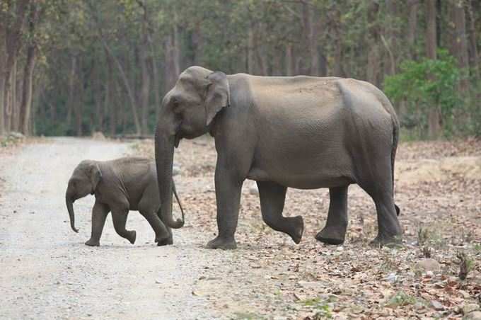 એક્ઝિબિશનની શરુઆત