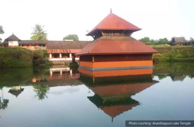 ಇದು ಸಸ್ಯಾಹಾರಿ ಮೊಸಳೆ...!