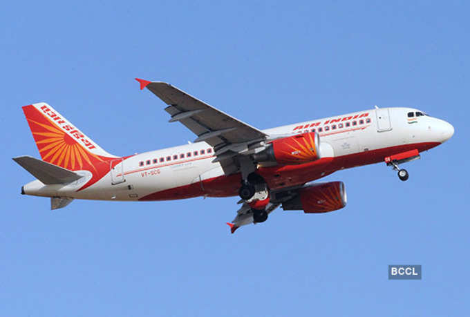 Don’t privatise Air India, give it 5 years to revive: Par panel